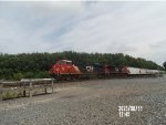 CN 3906